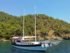 VY142036