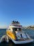 VY431004